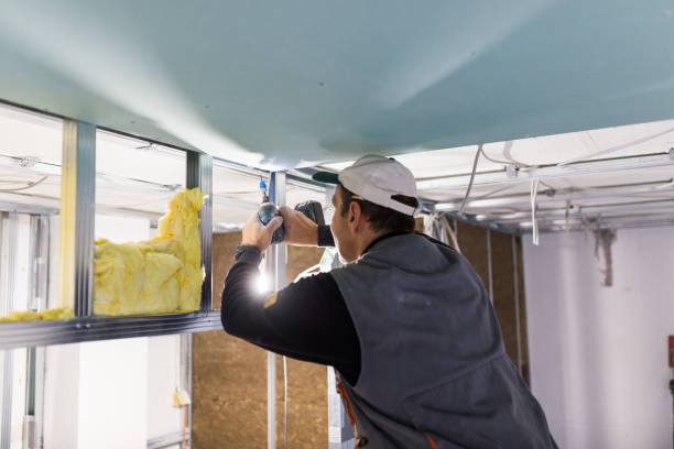 Insulation Inspection Services in Pahala, HI
